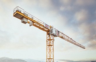 Crane in front of a cloudy sky. At the lower edge of the picture, parts of a city with high-rise buildings in front of a mountain panorama