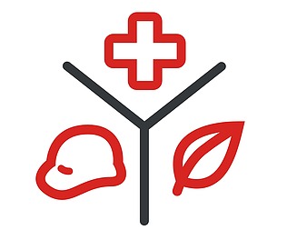 Zweifarbiges Icon zeigt in drei durch graue Striche getrennten Teilsegmenten Kreuz, Helm und BLatt